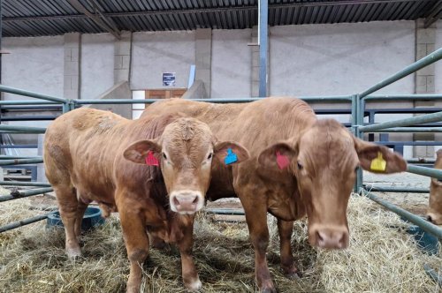 Livestock semen processing centre commissioned