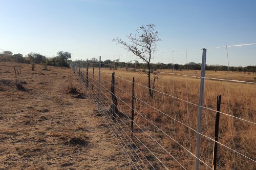 Grow Your Dreams on Credit With Musika Credit Account