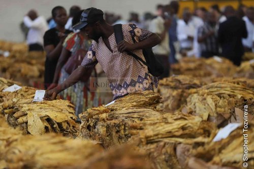 TIMB, Propak dismiss speculations of hessian wrap shortages