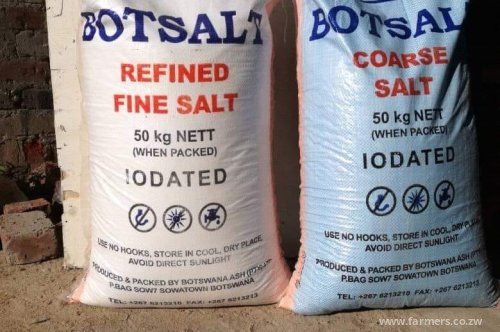 Salt packaging business idea