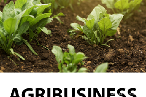 how to do a soil slake test and what it means