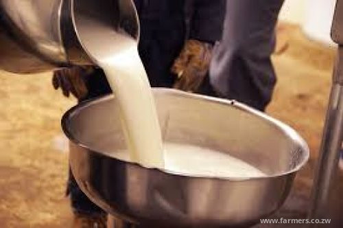 Zim raw milk production jumps 18pc to 86m litres