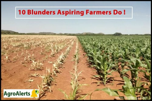 10 Shocking Mistakes People Make When Entering The Farming Space.