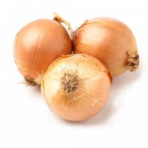 King Onion Budget - seedco